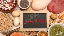 أهم فوائد البروتين للجسم والجنس والشعر وكمال الأجسام