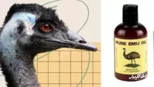 فوائد واستخدامات زيت الايمو Emu