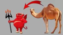 لماذا لحم الإبل ينقض الوضوء وحكمه؟