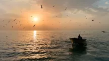 تعبير عن وصف شروق الشمس في الصباح لاطفال على البحر والورد