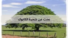 بحث عن شجرة الكابوك جاهز للطباعة