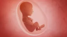 هل الرعشة تؤثر على الجنين؟ أو تضر به