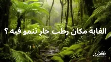 الغابة مكان رطب حار تنمو فيه