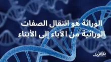انتقال الصفات الوراثية من الآباء إلى الأبناء