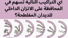 أي التراكيب التالية تسهم في المحافظة على الاتزان الداخلي للديدان