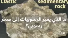 ما الذي يغير الرسوبيات إلى صخر رسوبي؟