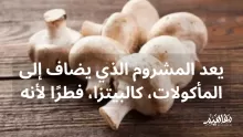 يعد المشروم الذي يضاف إلى المأكولات، كالبيتزا، فطرًا لأنه