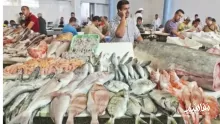 تفسير حلم سوق السمك في المنام