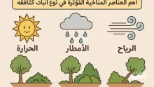 أهم العناصر المناخية المؤثرة في نوع النبات وكثافته