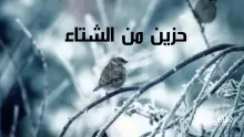 شرح قصيدة مساعد الرشيدي حزين من الشتاء كلمات