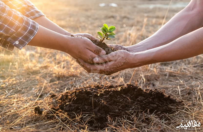 Preserving the environment Preserving the environment