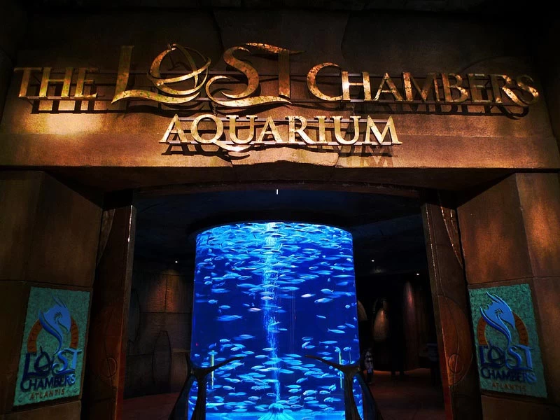 حوضالحجرات المفقودة دبي الامارات