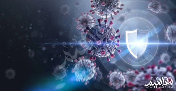 Immunity booster Immunity booster