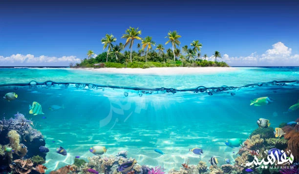 Vaadhoo Island, Maldives Vaadhoo Island, Maldives