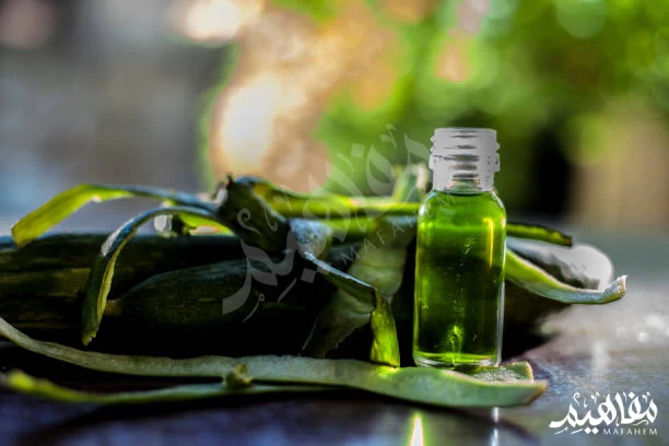 Aloe vera oil Aloe vera oil