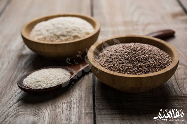 Psyllium Psyllium
