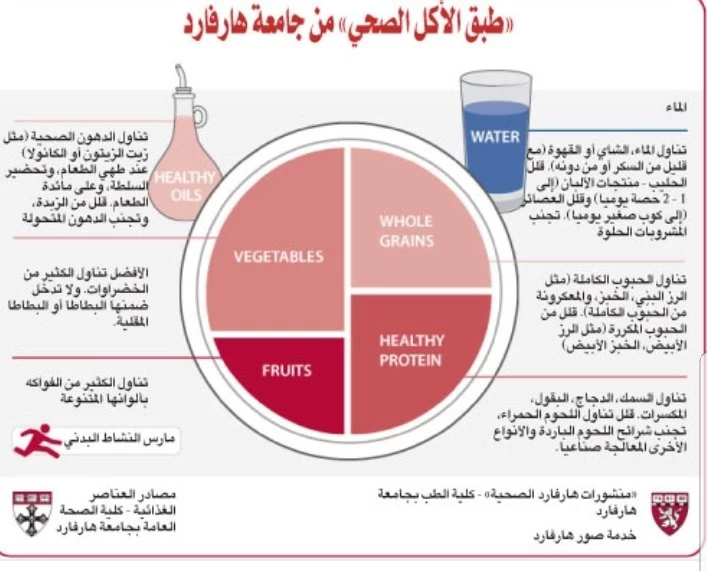 نظام غذائي نظام غذائي