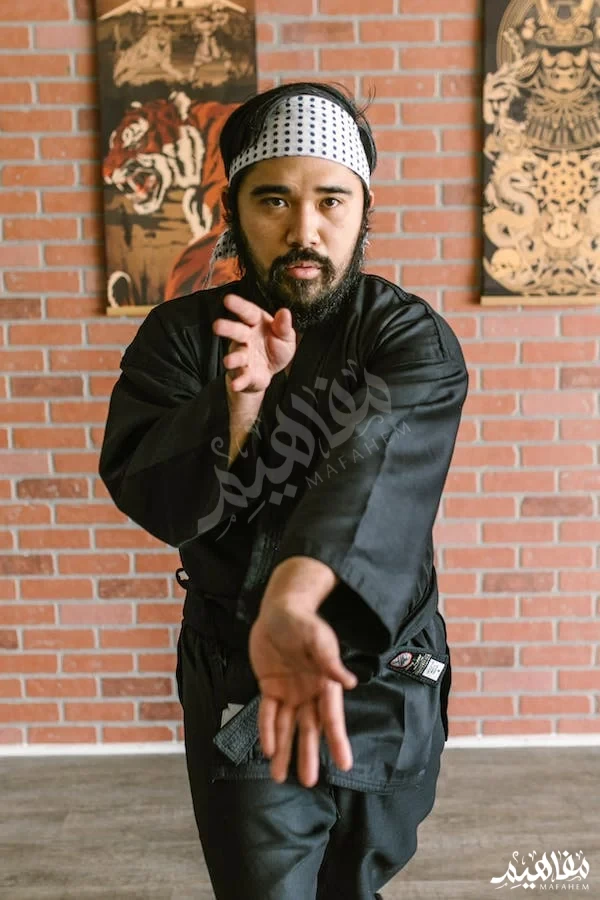 kung fu sport kung fu sport