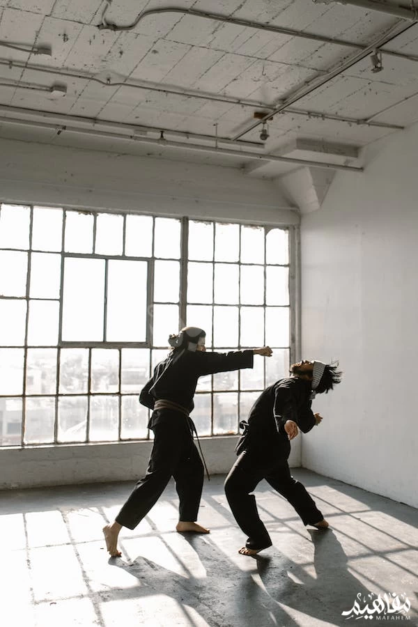 kung fu sport kung fu sport