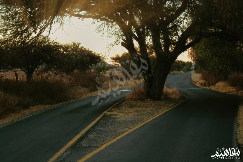 Preserving the environment Preserving the environment