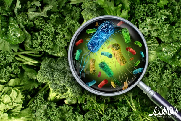 التسمم الغذائي