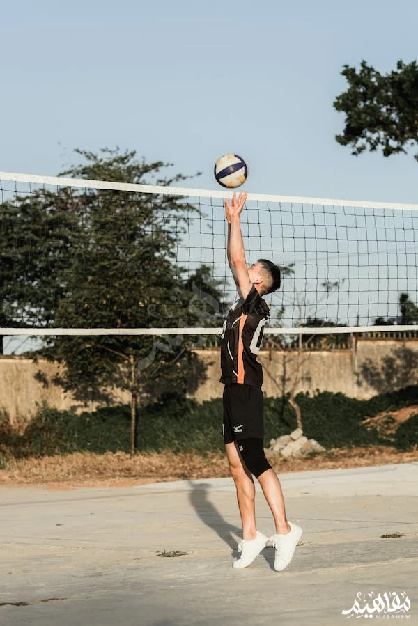 كرة-الطائرة كرة-الطائرة