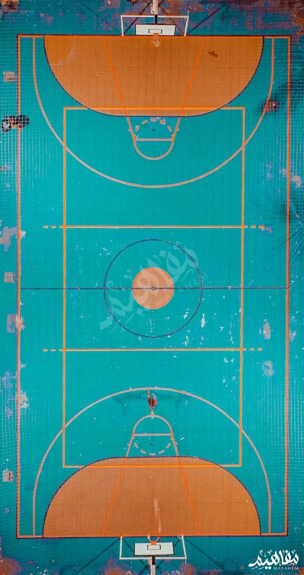 السلة كرة السلة كرة