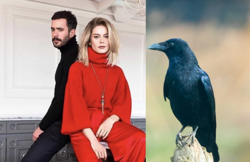 مسلسل الغراب مسلسل الغراب