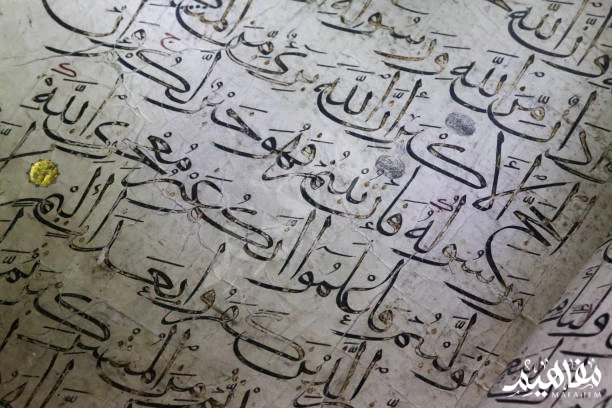 اللغة_العربية اللغة_العربية