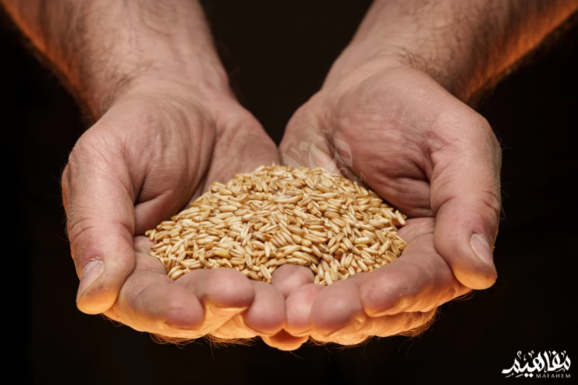 كميات_الطعام_المناسبة كميات_الطعام_المناسبة