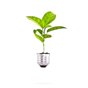 شعار يوم الطاقة العالمي 2022