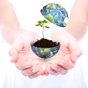 تقرير عن اليوم العالمي للبيئة