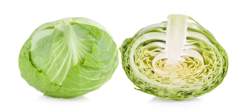 الملفوف الأخضر الملفوف الأخضر