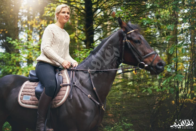 الخيل الإنجليزي الخيل الإنجليزي