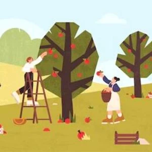 كيفية الاحتفال بمناسبة اليوم الدولي للمرأة الريفية