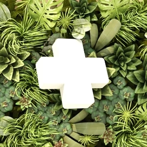 فعاليات اليوم العالمي للصليب الأحمر والهلال الأحمر