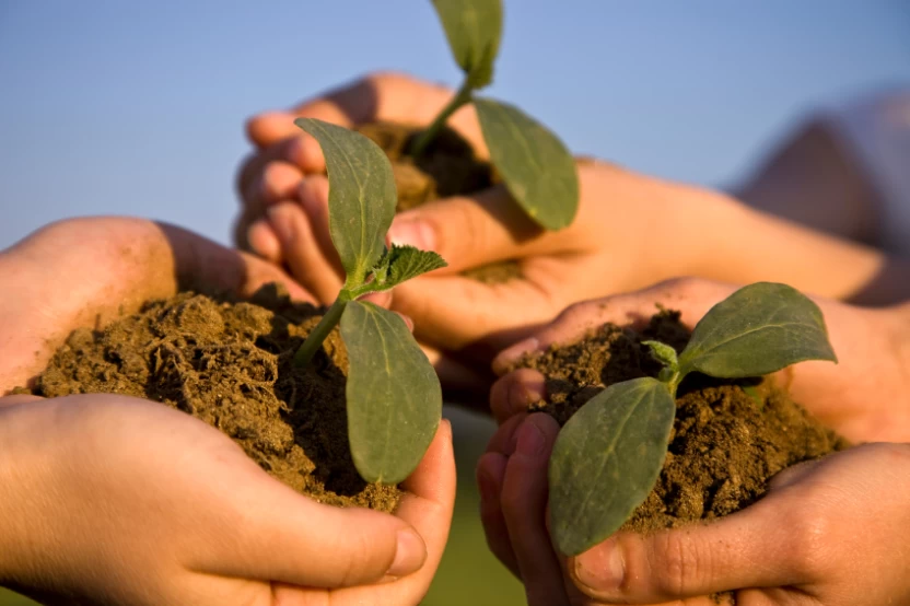 اختلال-التوازن-البيئي اختلال-التوازن-البيئي