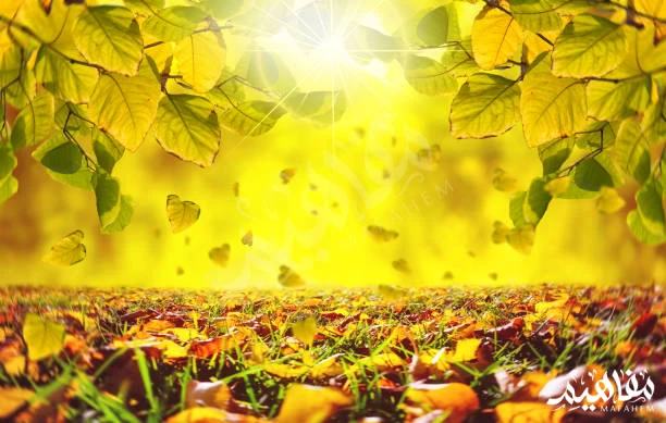 فصل الخريف فصل الخريف