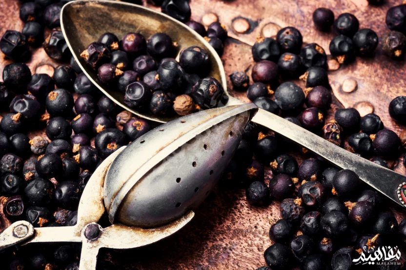 العرعر العرعر