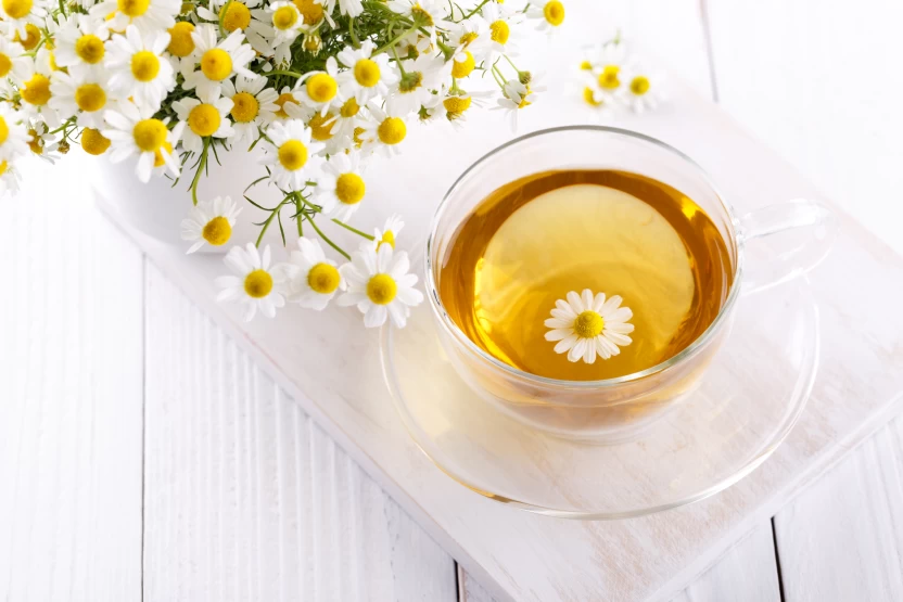 Chamomile Chamomile