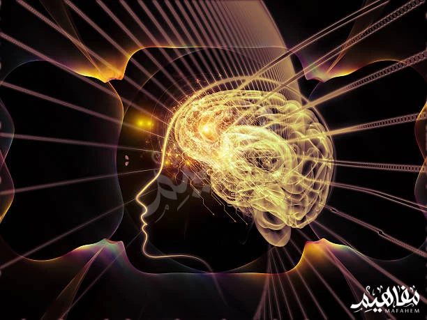 مكون الذرة مكون الذرة