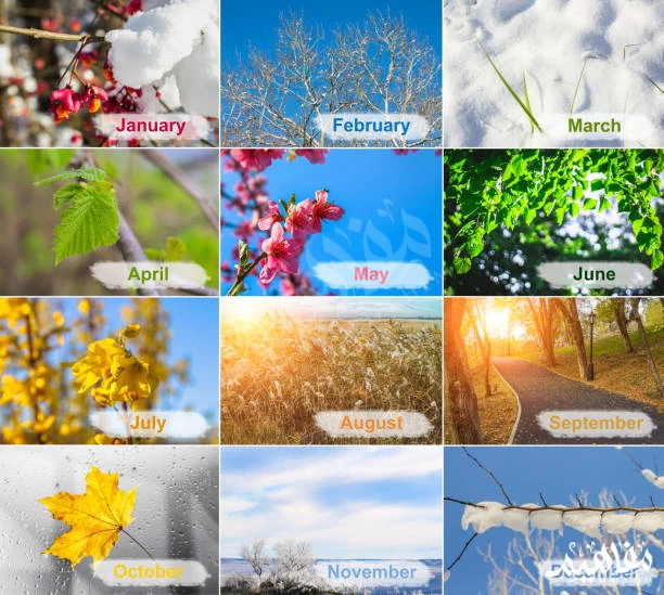 فصول السنة فصول السنة