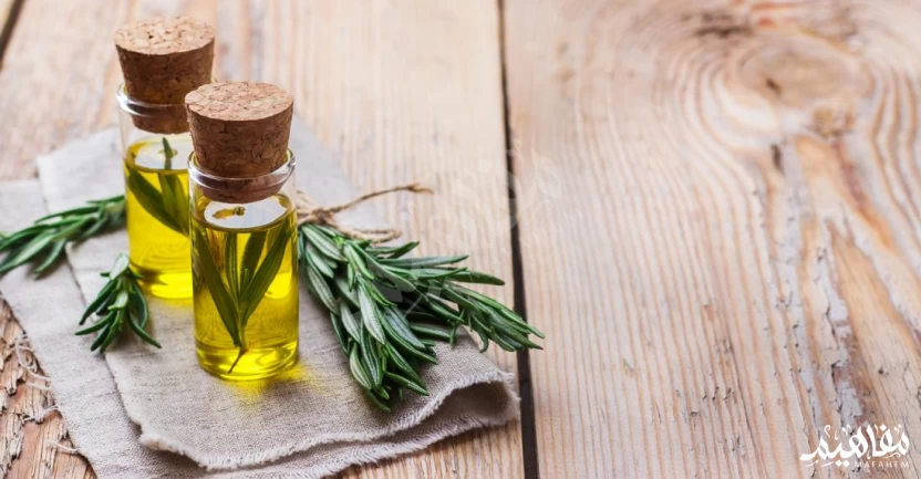 إكليل الجبل إكليل الجبل