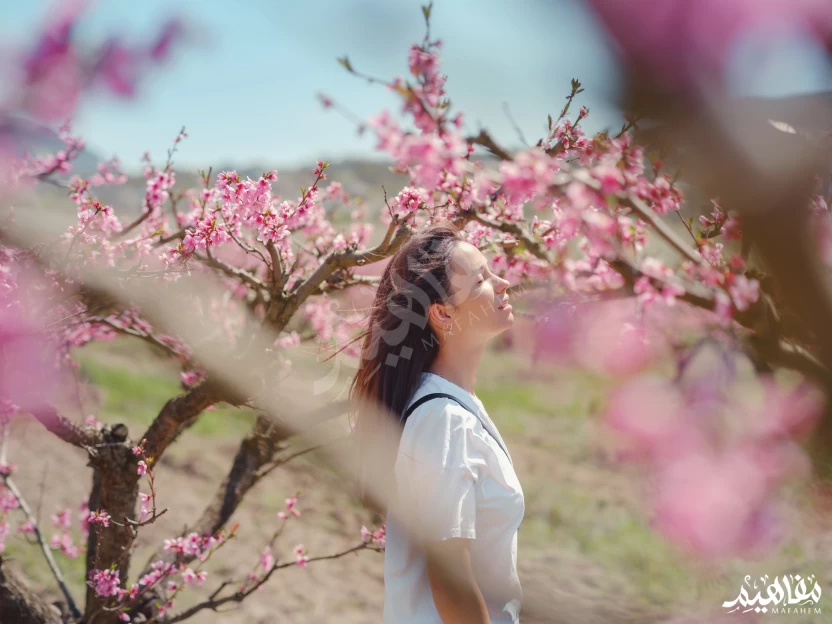 فصل الربيع فصل الربيع
