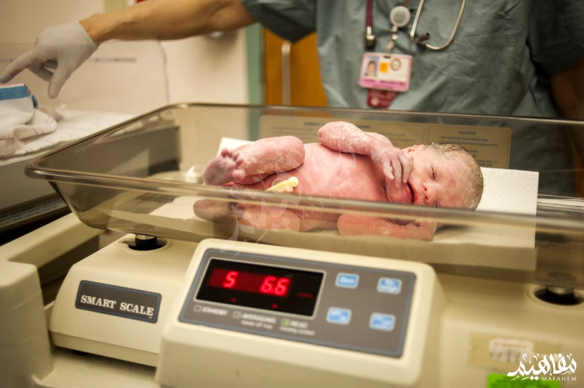 وزن الطفل وزن الطفل