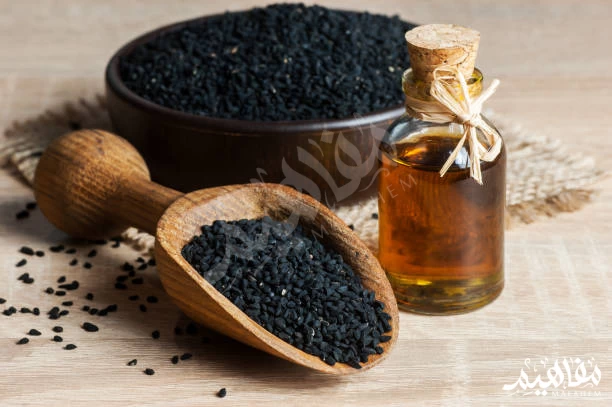 Nigella sativa Nigella sativa
