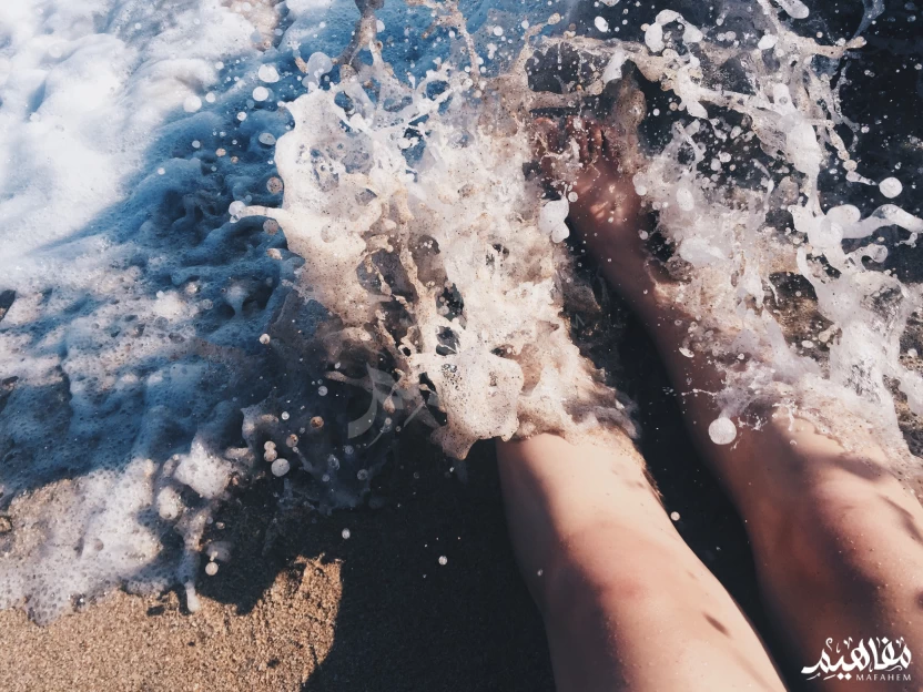 زبد البحر زبد البحر