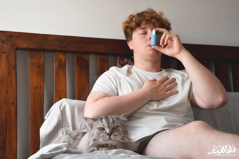 الربو الربو