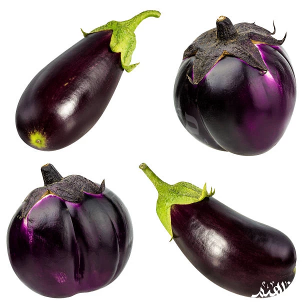Eggplant Eggplant