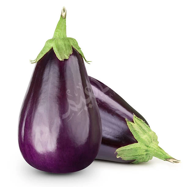 Eggplant Eggplant